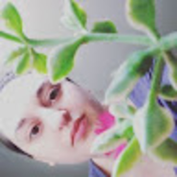 theplantmidwife